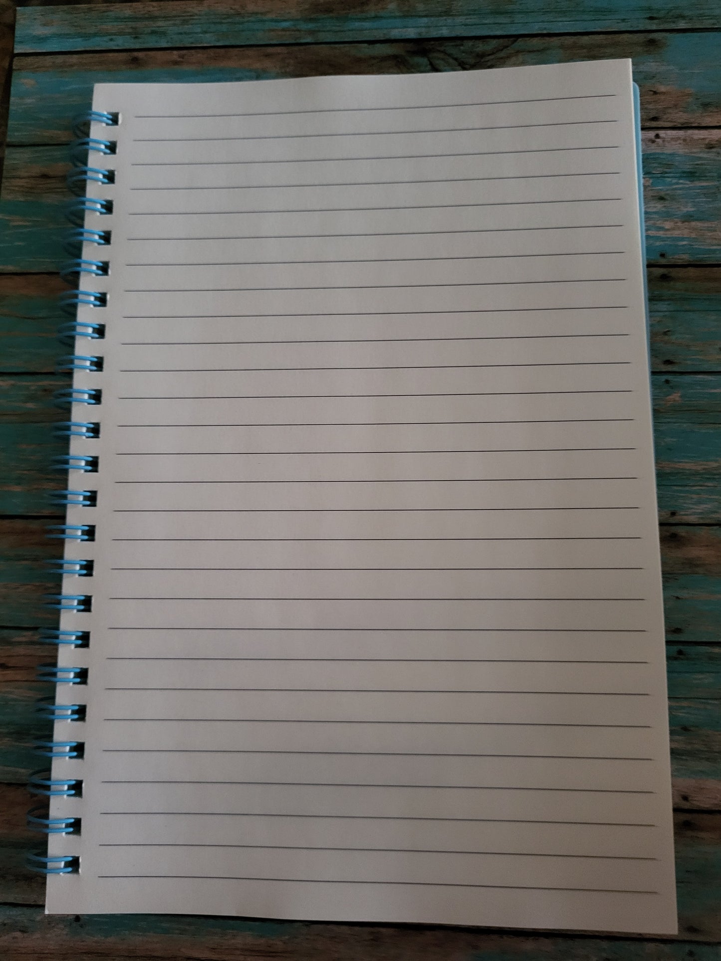 Teacher/Teacher Life Notebook